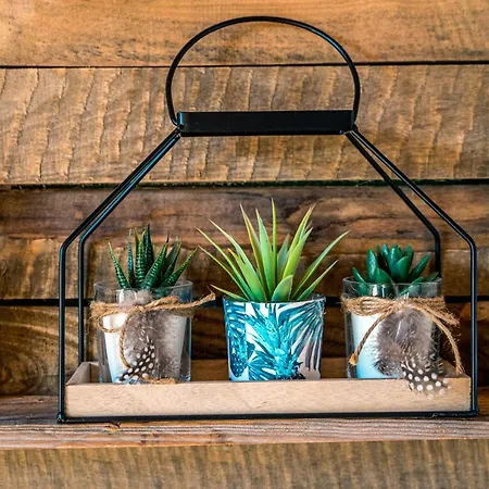 Bed En Bike Texel Pensjonat 3*