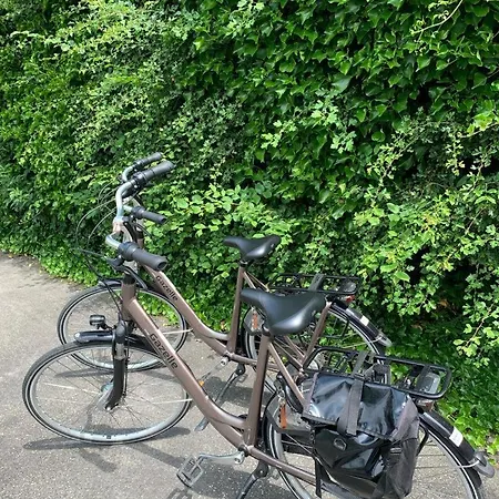 Bed En Bike Texel Bed & Breakfast Den Burg