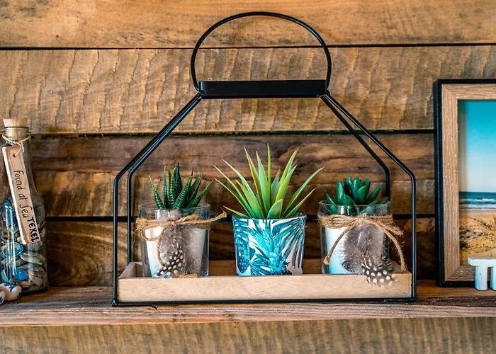 Bed En Bike Texel Gasthuis 3*