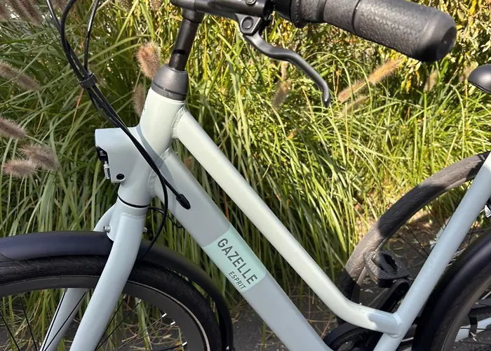 Gasthuis Bed En Bike Texel